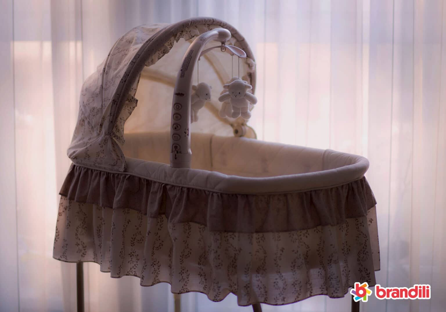 Moisés para bebê: o que é, como usar e principais tipos