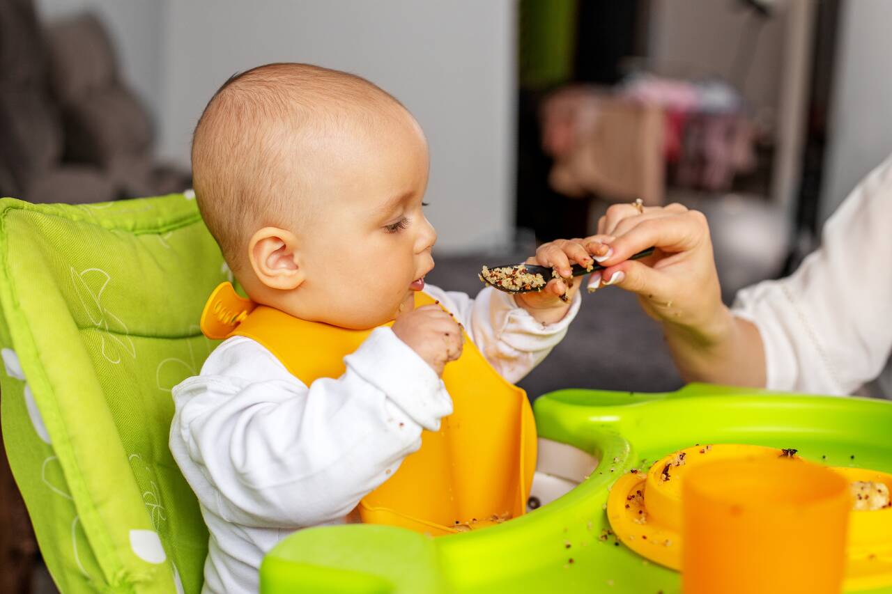 Bebê comendo em cadeira de alimentação