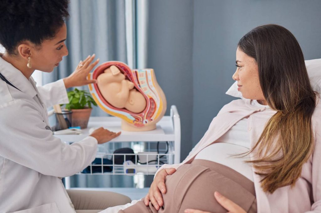 Médica orientando gestante sobre anatomia fetal